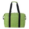 600D Polyester-Kühltasche Alejandro Hellgrün | ohne Werbeanbringung | Nicht verfügbar | Nicht verfügbar