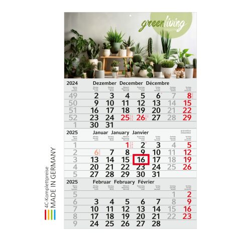 3-Monatskalender Budget 3 Recycling (Einblatt) hellgrau-rot | 4C-Quality Digital | rot