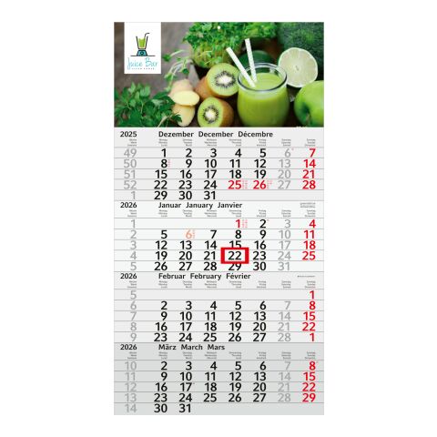 4-Monatskalender Budget 4 Recycling (Einblatt) hellgrau-rot | 4C-Quality Digital | rot