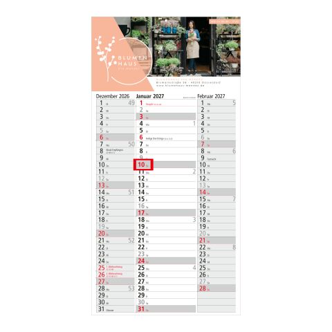 3-Monatskalender Einblatt Spectrum 3 Streifenkalender 3 Monate Hellgrau | 300 × 600 mm | ohne Werbeanbringung