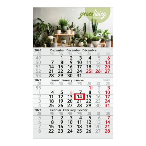 3-Monatskalender Einblatt Budget 3 RECYCLING Schrift modern Rot | 300 × 490 mm | 4C-Quality