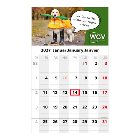 1-Monatskalender Einblatt Solo 1 EXPRESS Hellgrau | 300 × 490 mm | ohne Werbeanbringung