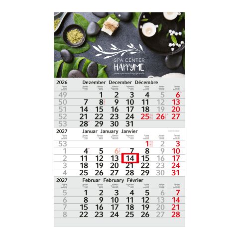3-Monatskalender Budget 3 EXPRESS Schrift modern Hellgrau | 300 × 490 mm | ohne Werbeanbringung