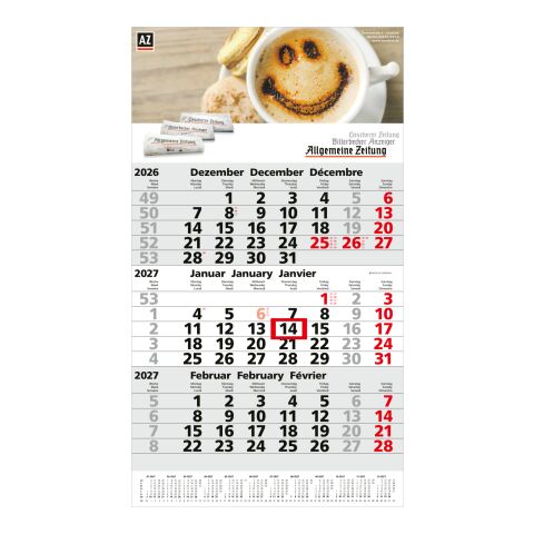 3-Monatskalender Einblatt Primus 3 Post A EXPRESS mit Jahresübersicht Hellgrau | 300 × 530 mm | ohne Werbeanbringung