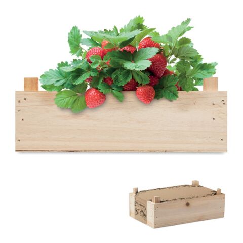 Saat-Set Erdbeere Inkl. Samen,Holzkiste und Pflanzerde