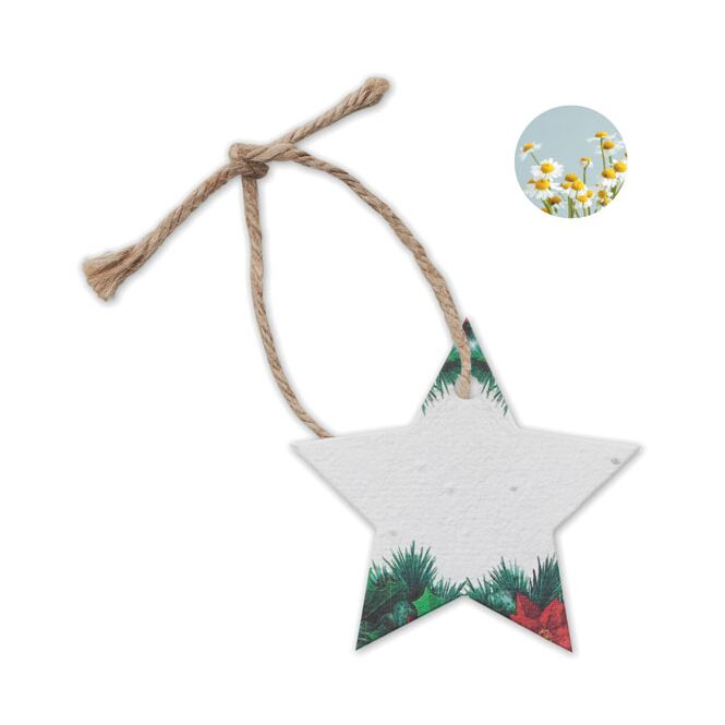 Kundenpräsent Weihnachtsstern aus Samenpapier mit Logodruck – Weiss – ökologischer Blumenschmuck für Firmenweihnachtsfeiern