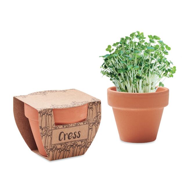 Werbeartikel Terrakotta-Topf mit Kresse und Logodruck – Holzfarben – nachhaltiges Pflanzen-Set für Büro und Firmenaktionen