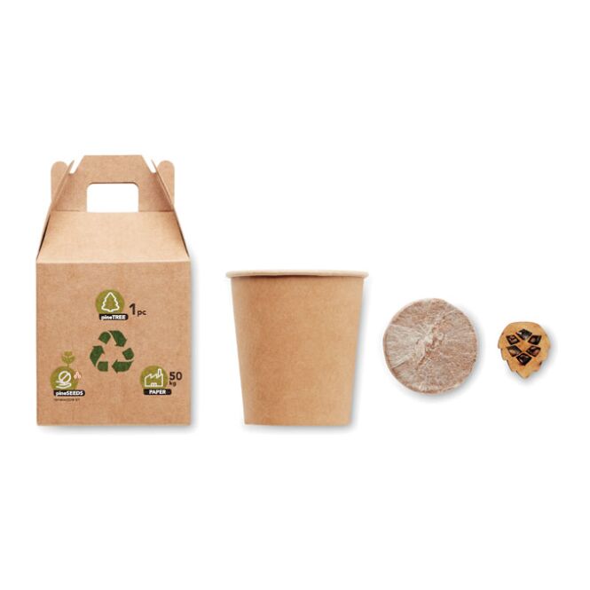 Werbeartikel Kiefernsamen-Set mit Logodruck – Beige – nachhaltiges Pflanzen-Kit für Firmen und Events