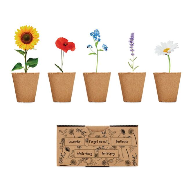 Werbeartikel Saat-Set Sommerblumen mit Logodruck – Beige – nachhaltiges Kundenpräsent für ökologische Kampagnen