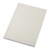 Scribe Plus A5 recyceltes Softcover Notizbuch elfenbeinweiß
