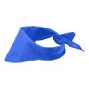 Heracles Bandana Standard | royalblau | ohne Werbeanbringung | Nicht verfügbar | Nicht verfügbar | Nicht verfügbar