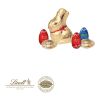 Osterpräsent „Selection Mini” Von Lindt bunt | ohne Werbeanbringung | Lindt