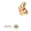 Lindt Goldhase, 10 G Osterboten bunt | ohne Werbeanbringung