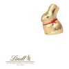 Schokokarte "Türanhänger" mit Lindt Goldhase bunt | ohne Werbeanbringung