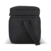 R-PET 600D Kühlbeutel mit zwei Fächern 30 x 20 x 25 cm 15 l Schwarz
