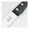 RICHARTZ® Steak Cut and Chill Steakmesser silber | ohne Werbeanbringung | ohne Werbeanbringung | ohne Werbeanbringung