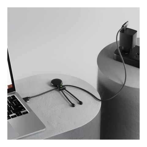 2089 | Xoopar Mr. Bio Long Power Delivery Cable with data transfer Schwarz | ohne Werbeanbringung | Nicht verfügbar | Nicht verfügbar | Nicht verfügbar
