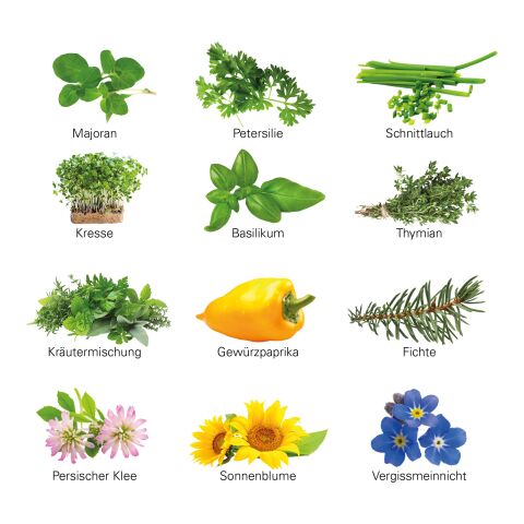 Adventskalender ECO L mit Samentütchen 4c Euroskala