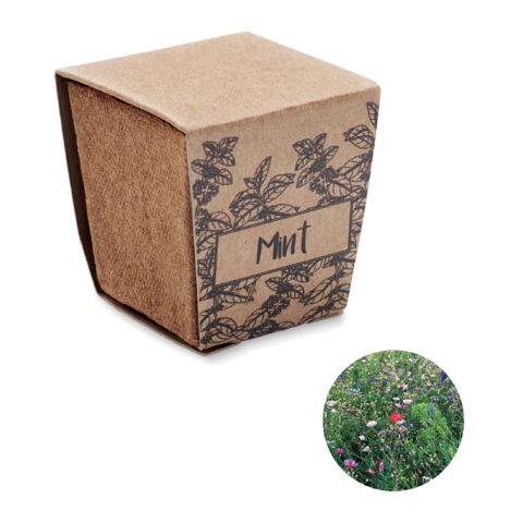 Pflanz-Set Minze beige | ohne Werbeanbringung | Nicht verfügbar | Nicht verfügbar | Nicht verfügbar