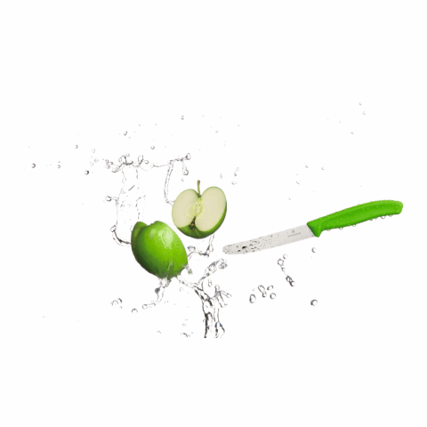 Victorinox Swiss Classic Tomaten- und Tafelmesser grün | ohne Werbeanbringung