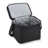 R-PET 600D Kühlbeutel mit zwei Fächern 30 x 20 x 25 cm 15 l Schwarz | ohne Werbeanbringung | Nicht verfügbar | Nicht verfügbar
