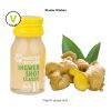 BIO Ingwer Shot weiß | ohne Werbeanbringung