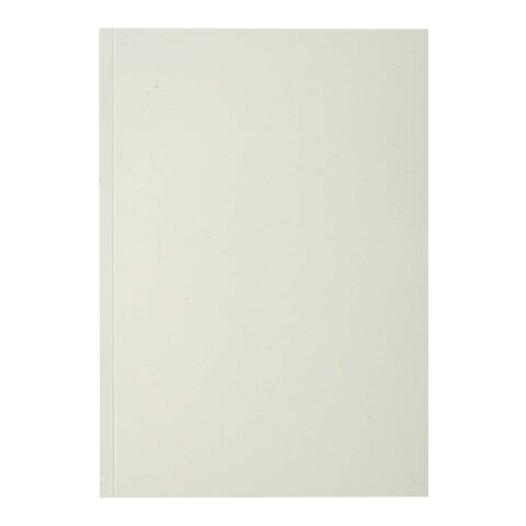 Scribe Plus A5 recyceltes Softcover Notizbuch elfenbeinweiß