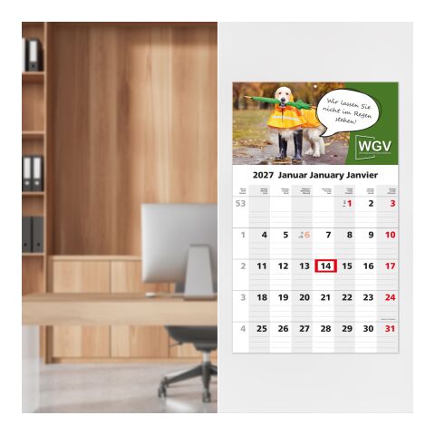 1-Monatskalender Einblatt Solo 1 Hellgrau | 300 × 490 mm | ohne Werbeanbringung