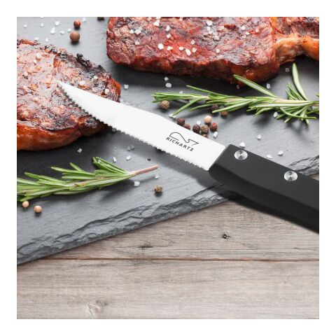RICHARTZ® Steak Cut and Chill Steakmesser silber | ohne Werbeanbringung | ohne Werbeanbringung | ohne Werbeanbringung