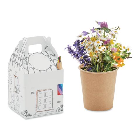 Saat-Set Kinder bunt | ohne Werbeanbringung | Nicht verfügbar | Nicht verfügbar | Nicht verfügbar