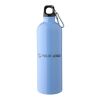 Recycelte einwandige Edelstahlflasche (750 ml) Emeric Violett