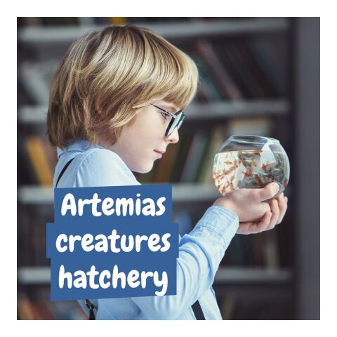 Jurassic Pets Kit I. Lernspiel für Kinder Weiss | ohne Werbeanbringung | Nicht verfügbar | Nicht verfügbar | Nicht verfügbar