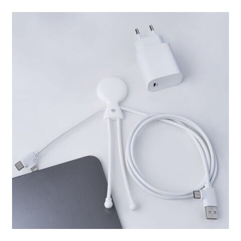 2089 | Xoopar Mr. Bio Long Power Delivery Cable with data transfer regenbogenfarben | ohne Werbeanbringung | Nicht verfügbar | Nicht verfügbar | Nicht verfügbar