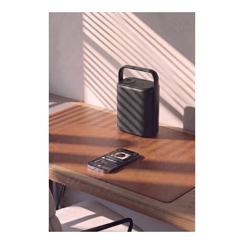 Urban Vitamin Newark 10W RCS Speaker mit entnehmb. Batterie schwarz
