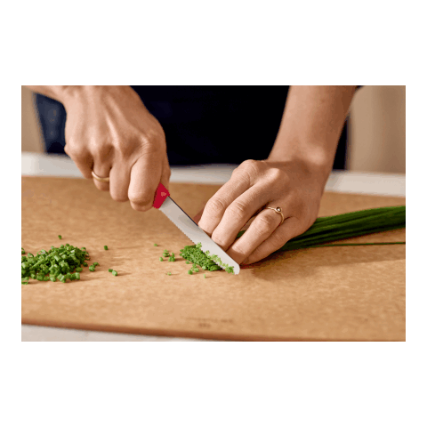 Victorinox Swiss Classic Tomaten- und Tafelmesser rot | ohne Werbeanbringung