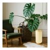 Coollux faltbare Papier-LED-Lampe Aurora Tall auf Holzsockel, 32cm Natur | Gravur | Sockel der Lampe | 80 mm x 15 mm