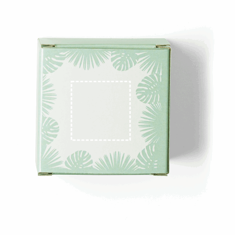 TRICERATOPS. Memory-Spiel mit 20 Teilen Hellgrün | ohne Werbeanbringung | Nicht verfügbar | Nicht verfügbar | Nicht verfügbar