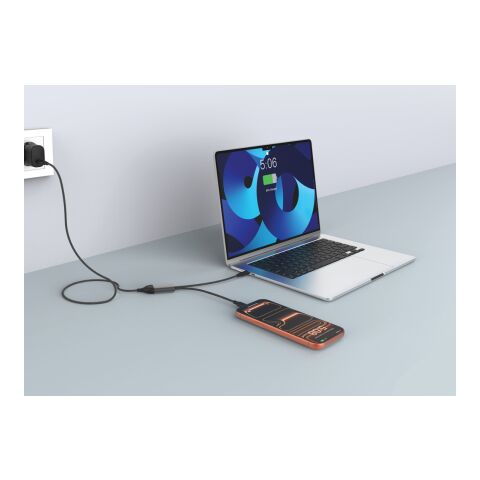 Terra 100W RCS-Kabel mit zwei USB-C-Ausgängen schwarz-grau