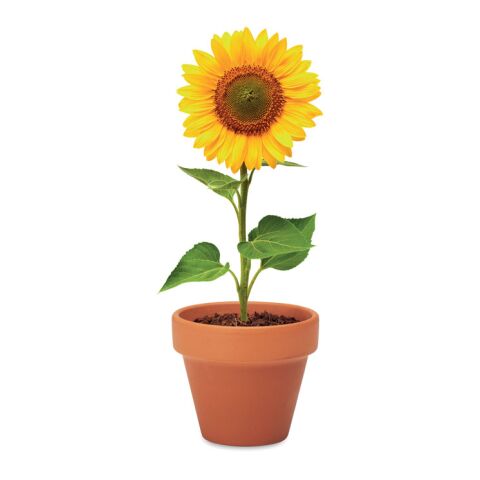 Terracotta-Topf Sonnenblume holzfarben | ohne Werbeanbringung | Nicht verfügbar | Nicht verfügbar | Nicht verfügbar