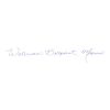 Waterman HEMISPHERE STEEL Stift gold