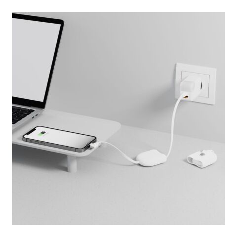 Xoopar ICE-R Einziehbares USB-C- und Lightning-Kabel 60 W 1 Meter Weiss | ohne Werbeanbringung | Nicht verfügbar | Nicht verfügbar