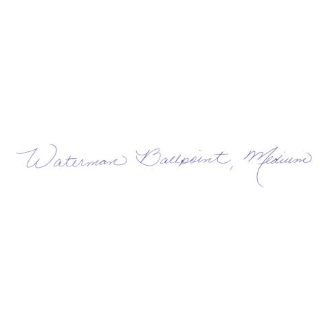 Waterman EXPERT CT Pen Black silber