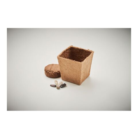 Pflanz-Set Sonnenblume beige | ohne Werbeanbringung | Nicht verfügbar | Nicht verfügbar | Nicht verfügbar