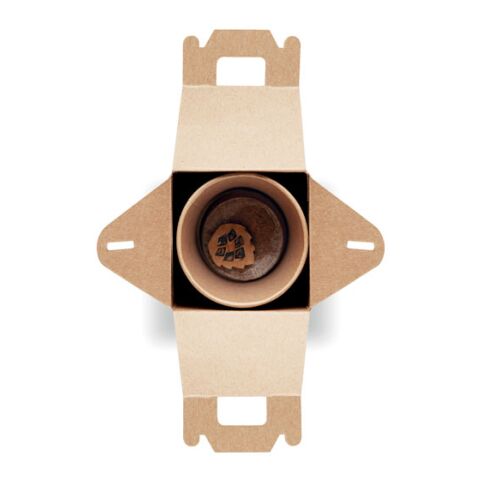 Kiefernsamen-Set beige | ohne Werbeanbringung | Nicht verfügbar | Nicht verfügbar | Nicht verfügbar